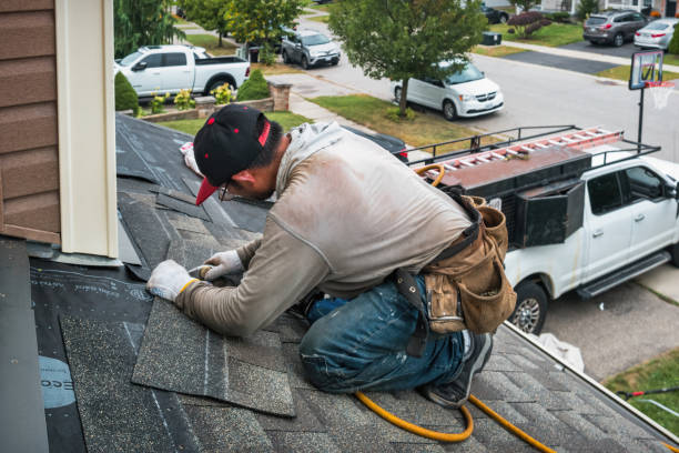 Professional Flat Roof Repair technician working in Laporte, CO
